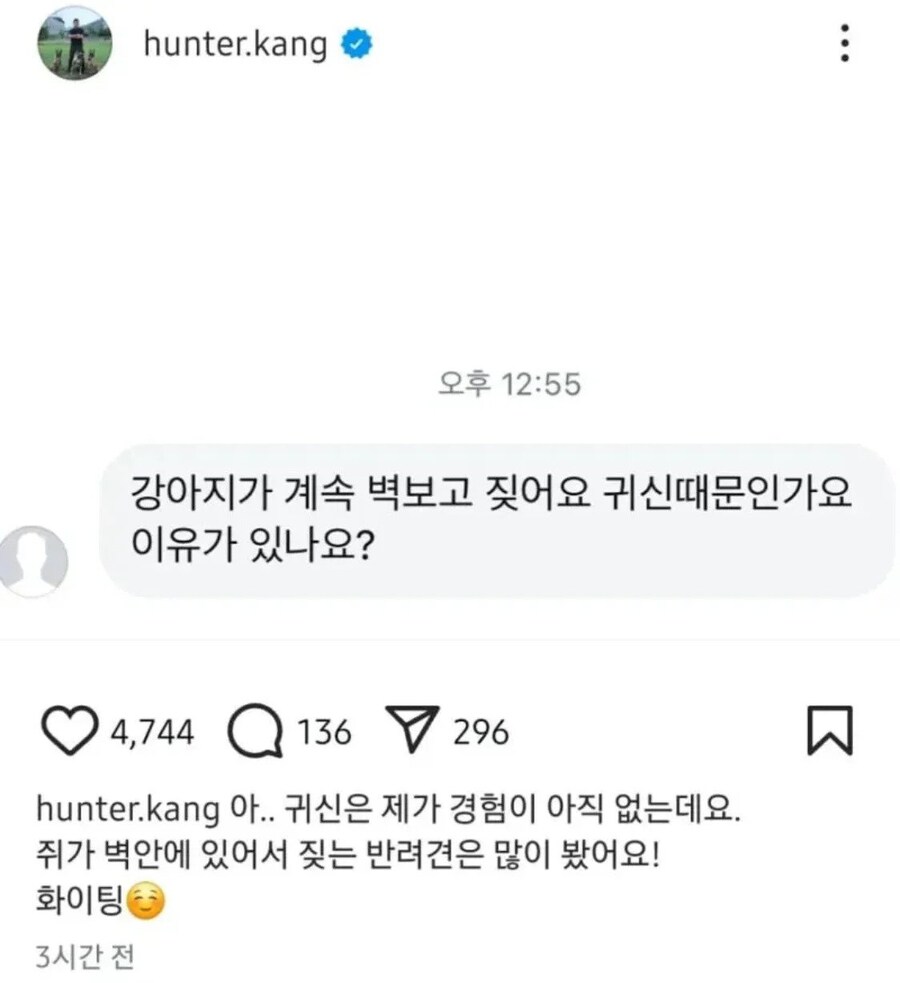 강아지가 벽 보고 짖는데 귀신인가요?.jpg_1.jpg