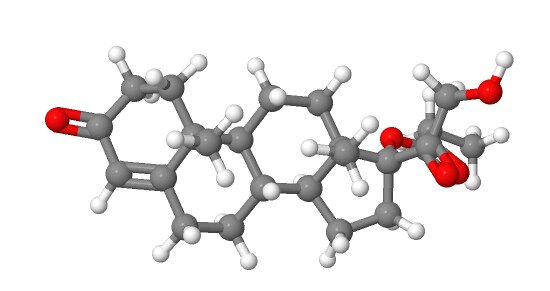 탈모 관련 정리_7.png