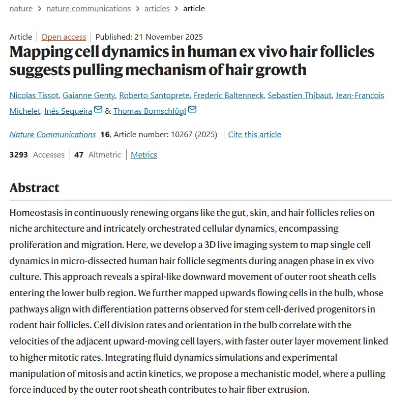 탈모 관련 정리_3.png