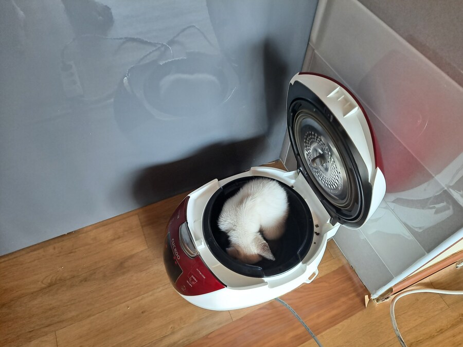 압력밥솥으로 모카빵 구웠습니다!!_3.jpg