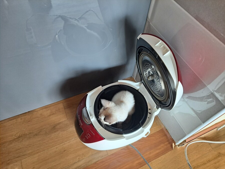 압력밥솥으로 모카빵 구웠습니다!!_5.jpg