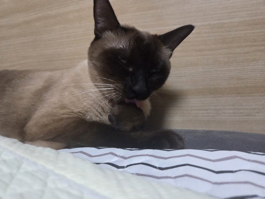 압력밥솥으로 모카빵 구웠습니다!!_8.jpg