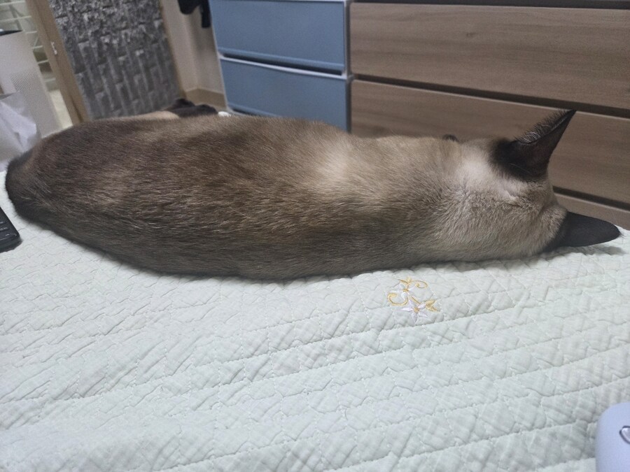 압력밥솥으로 모카빵 구웠습니다!!_9.jpg