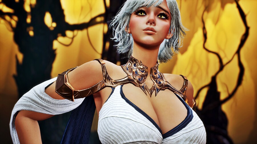 아이온2) ?? : 내가 다시 NC겜을 하면 짐승이다._1.png