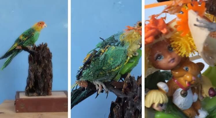 미대생들이 현타 온다는 현대미술_1.jpg