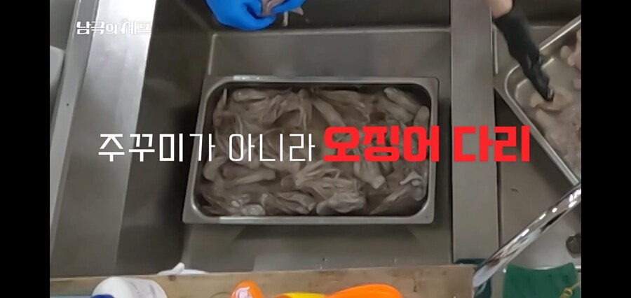 쭈꾸미랑 오징어도 구분 못하는 남극의 약탈자들_1.jpg