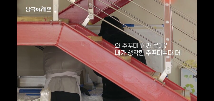 쭈꾸미랑 오징어도 구분 못하는 남극의 약탈자들_10.jpg