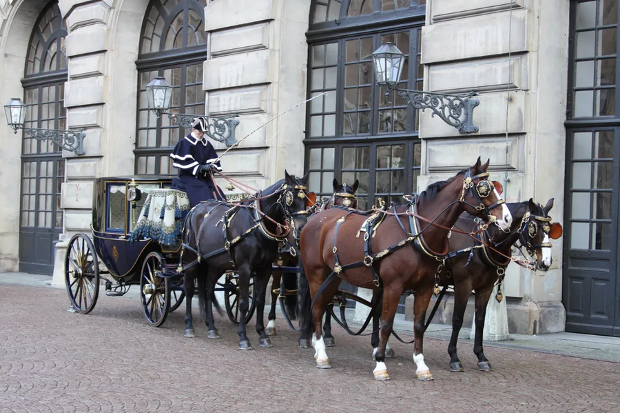 친환경 자동차_6.webp