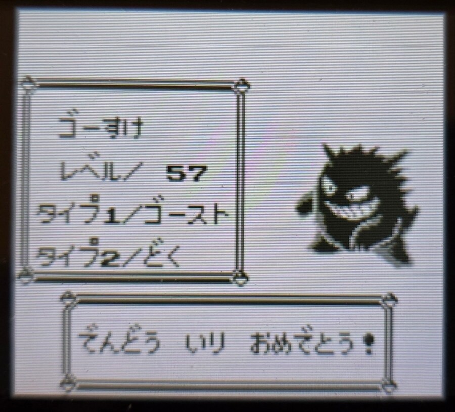 VC 포켓몬 블루 클리어 멤버_1.jpg