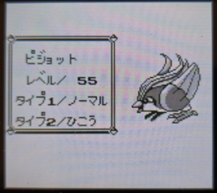 VC 포켓몬 블루 클리어 멤버_2.jpg