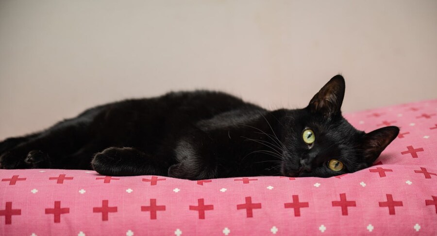 니들 빨리 결혼 안하면 큰일난다..._3.jpg