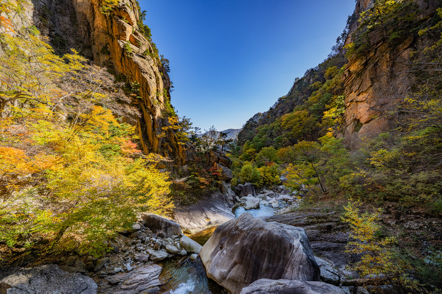 니들 빨리 결혼 안하면 큰일난다..._9.jpg