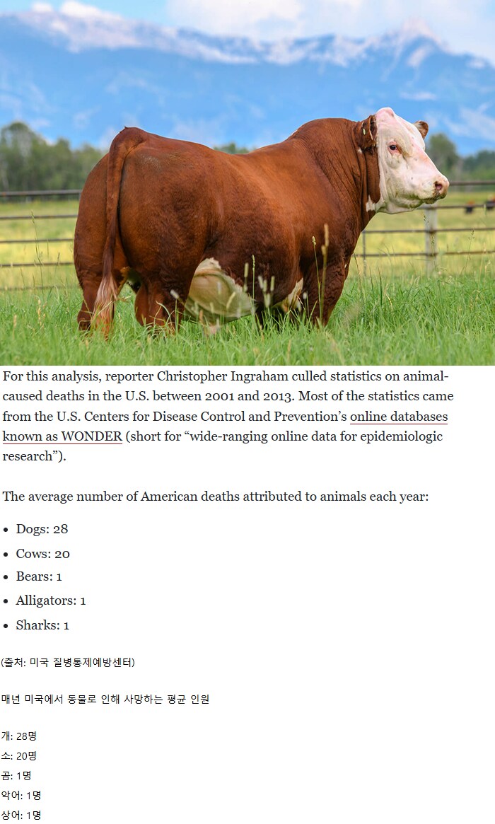 미국에서 동물로 인해 사망하는 평균인원_1.png