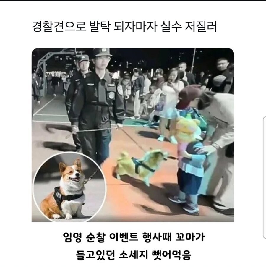경찰관이 임관 하자마자 사고침_1.jpg
