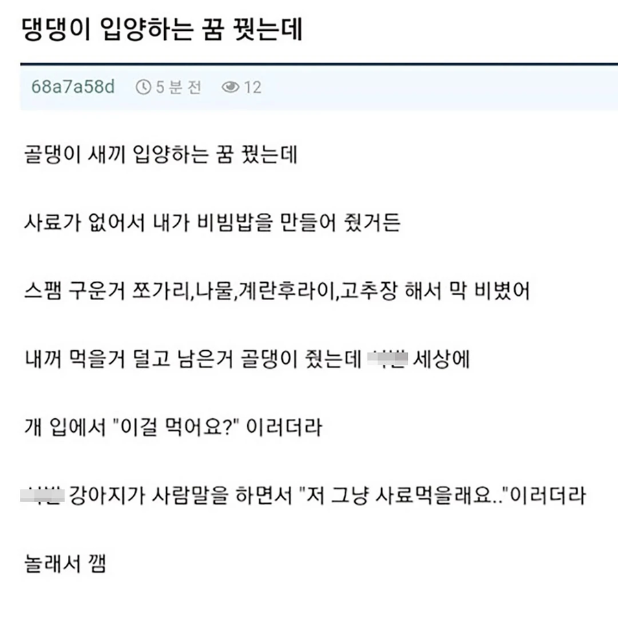 댕댕이 입양하는 꿈을 꾼 사람._1.webp