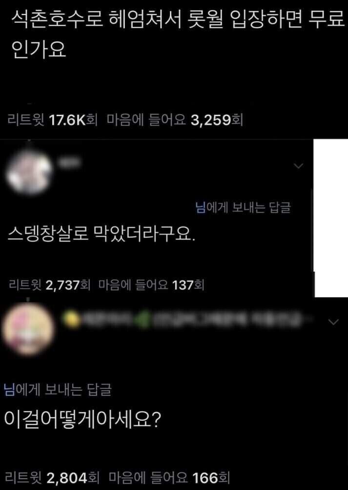 롯데월드 헤엄쳐서 들어가면 무료인가요.jpg_1.jpg