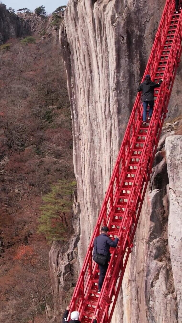 산에있는 다리사진 보고 겁먹지 않아도 되는 이유_3.jpg