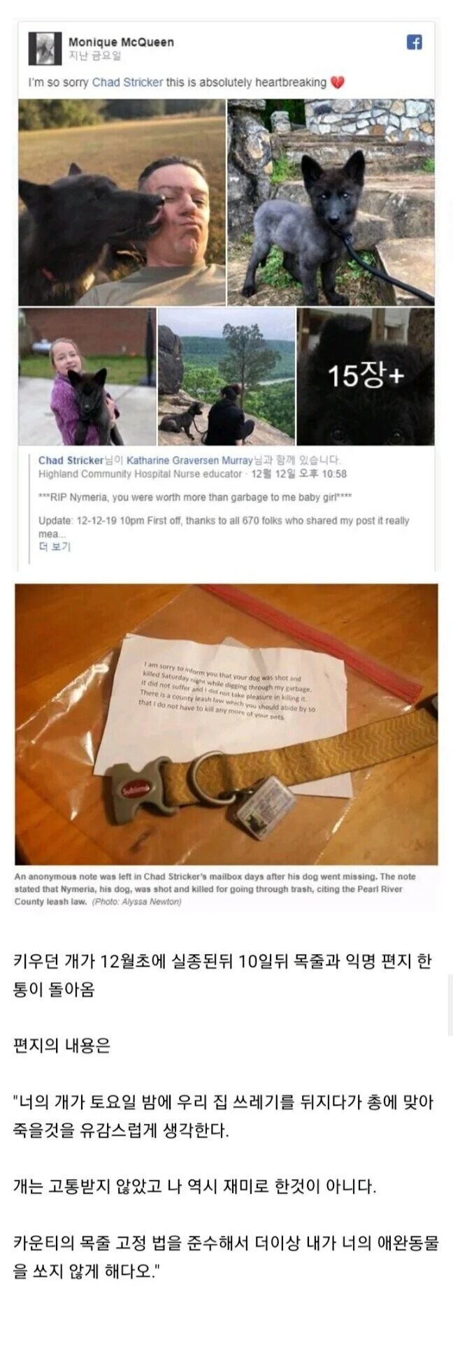 반려견이 실종된지 10일만에 받은 편지_1.png