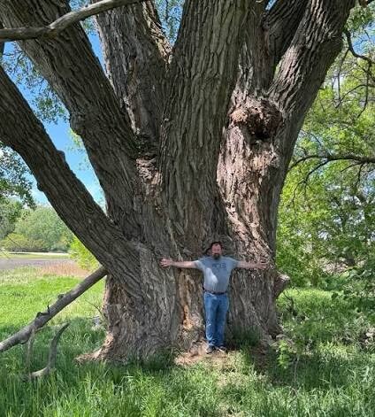 존나 빨리 자라는 대신 존나 무른 나무_4.jpg