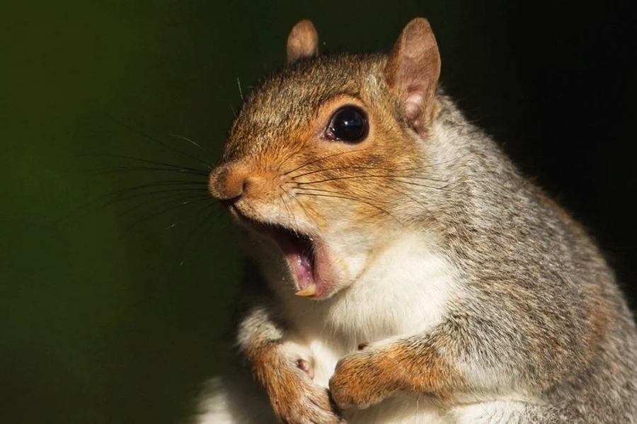 박나래건은 웃기긴 진짜 웃긴다._1.webp