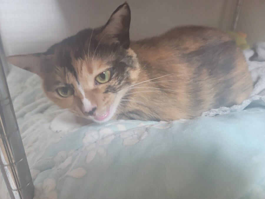 비오는날 배달유게이 복귀완료.. 난...최선을 다했어.._6.jpg