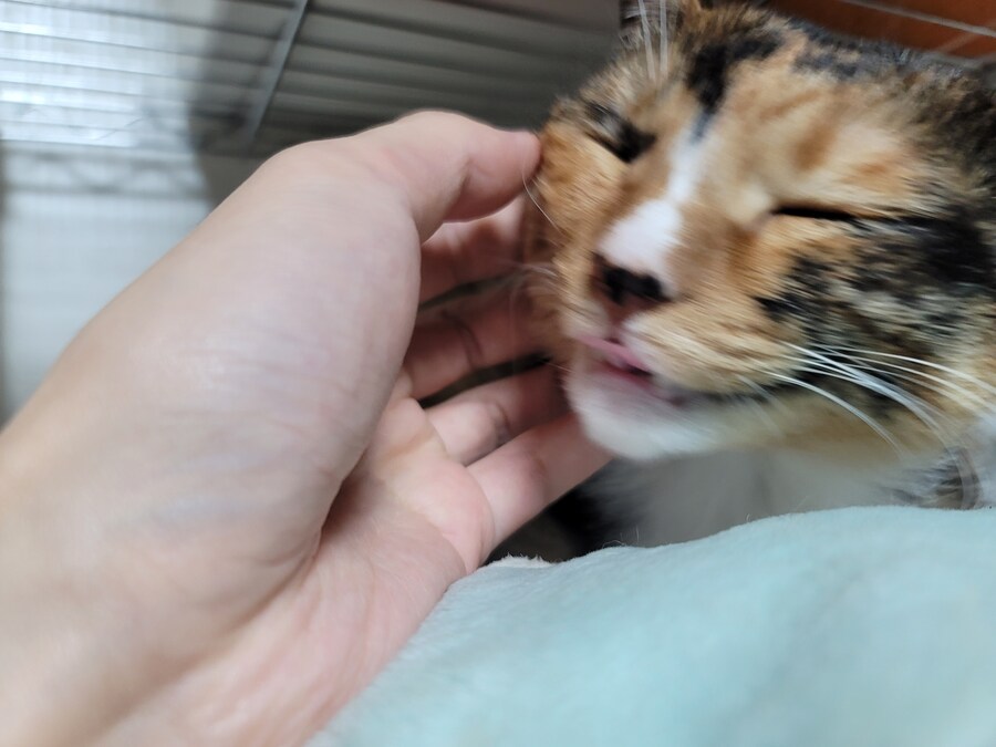 비오는날 배달유게이 복귀완료.. 난...최선을 다했어.._10.jpg