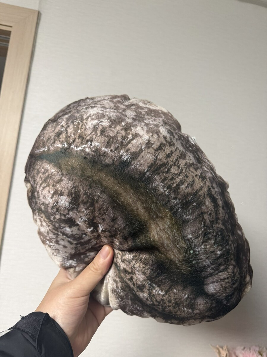 완도에 고향 사랑 기부 하면 받을수 있다는거_3.jpg