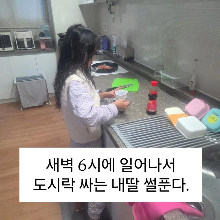 급식 파업에 도시락 싸가는 딸내미._1.webp