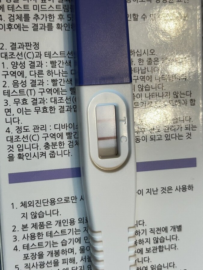 안에싸의 결말_1.png