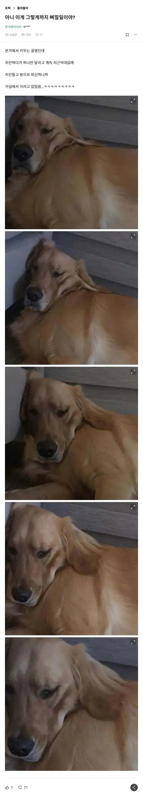 치킨 혼자먹으려고 방으로 도망친 후기_1.jpg