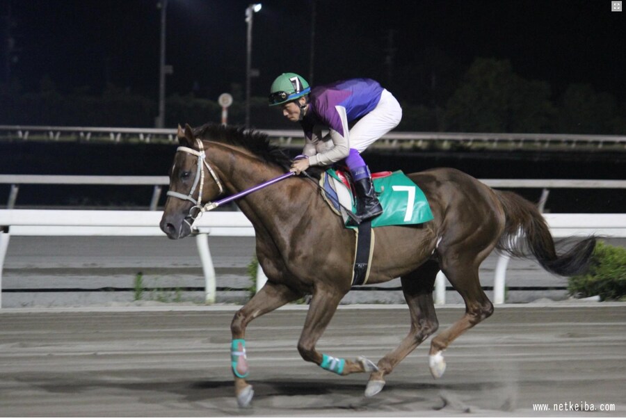 말딸?) 일본 경마계의 좀비마를 알아보자_4.png