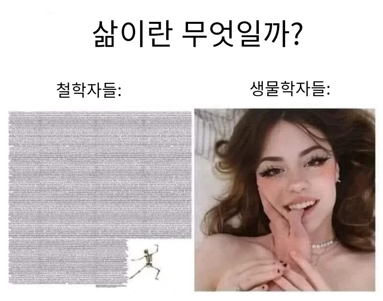 삶이란 무엇일까? 에 대한 대답 철학자 vs 생물학자_1.png
