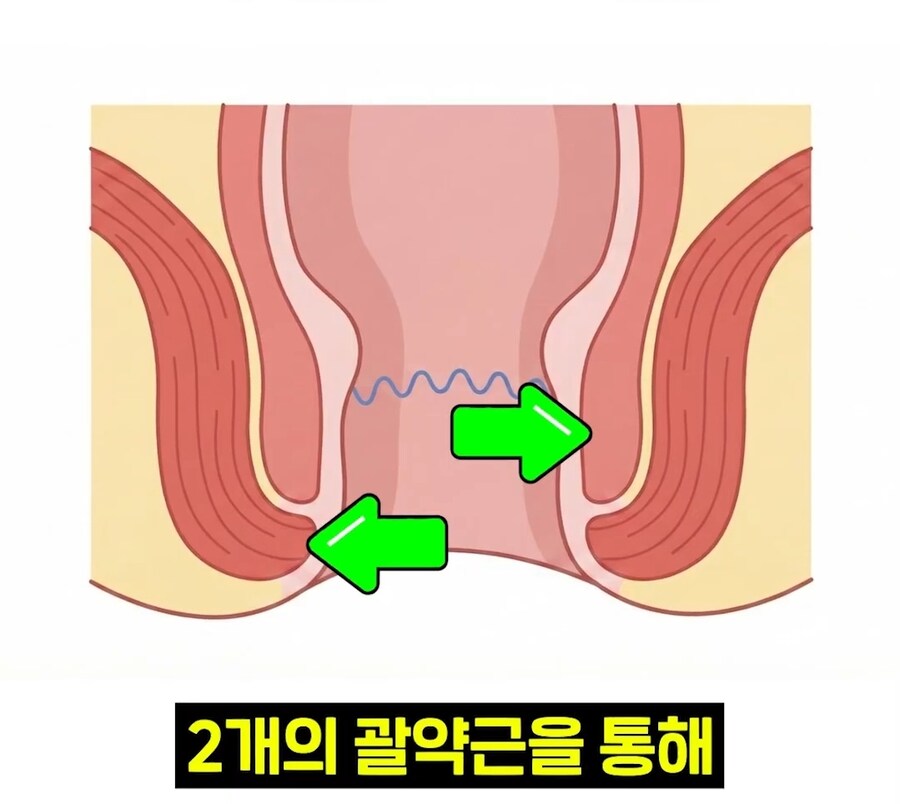 우리 뇌가 방구랑 된장을 구분하는 법_6.jpg