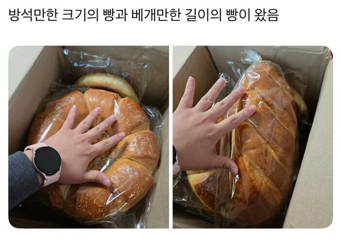 한국에 사는 서양인들이 식사용 빵이 없다고 투덜대는 이유_3.jpg