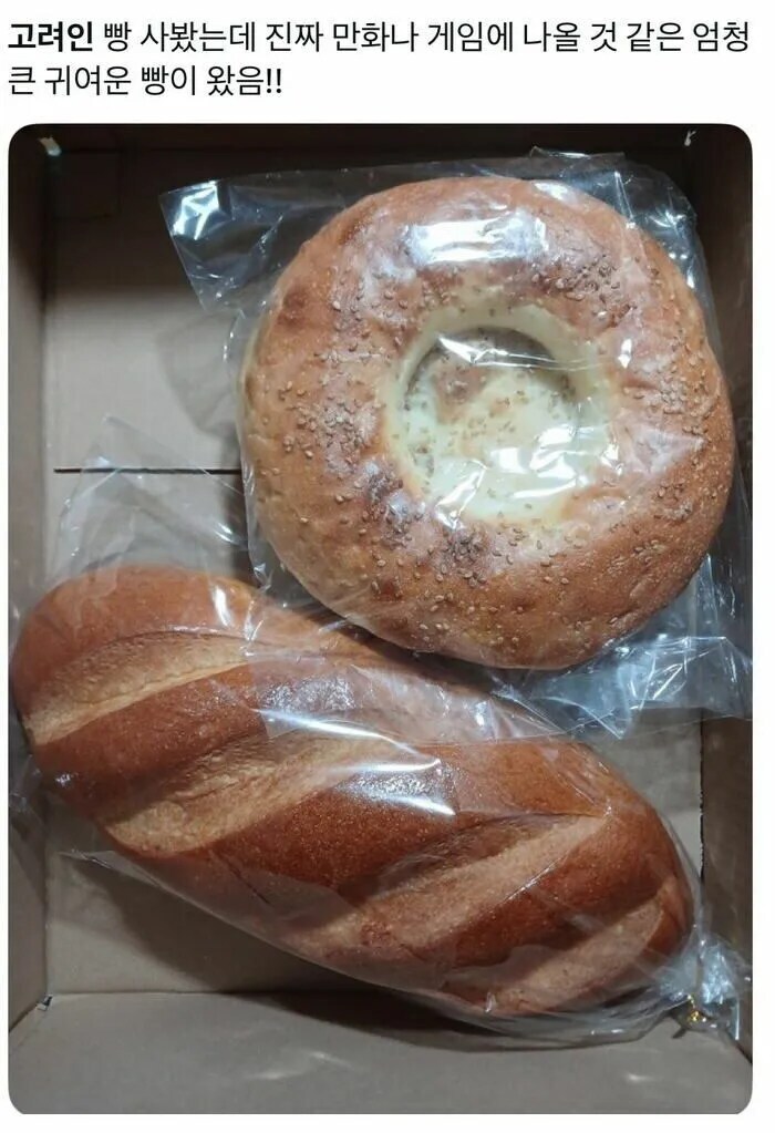 한국에 사는 서양인들이 식사용 빵이 없다고 투덜대는 이유_7.jpg