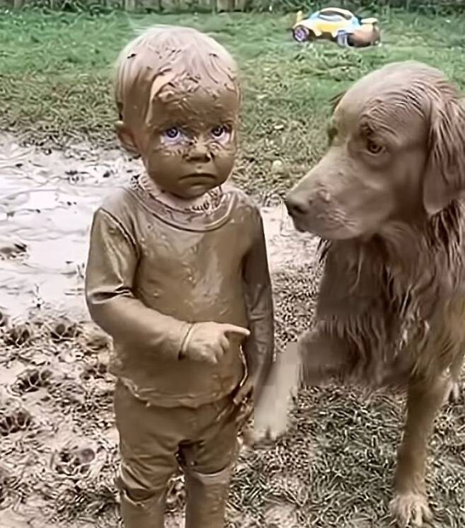 아이와 개만 놔두면 생기는 일_2.jpg