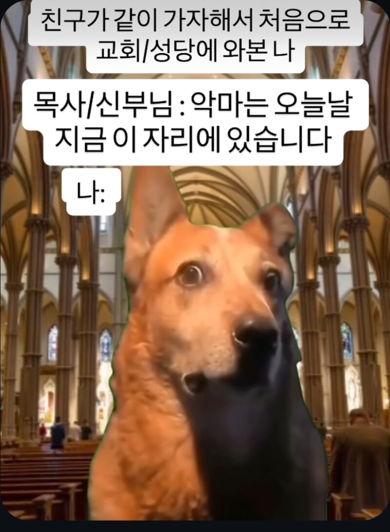 친구의 권유로 처음으로 교회에 간 사람_1.png