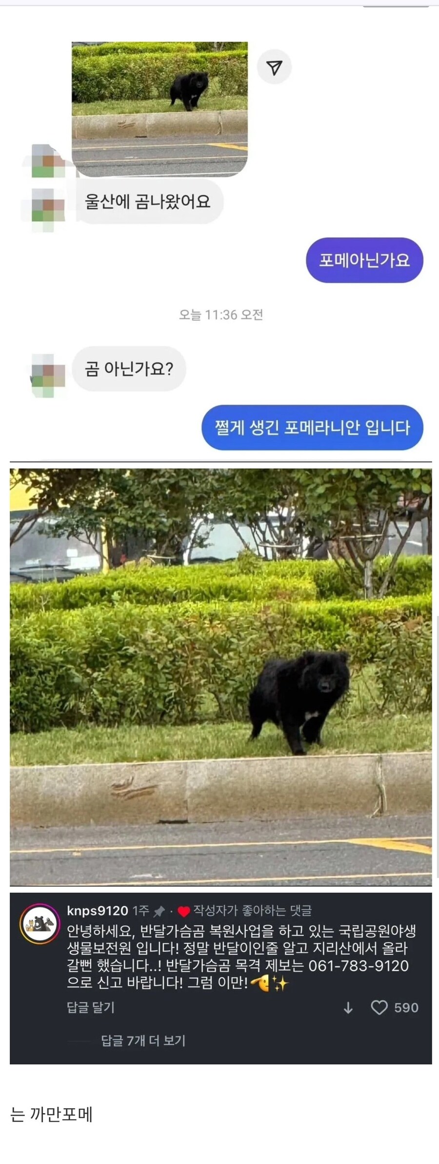 울산에까지 나타났다는 반달가슴곰_1.jpg