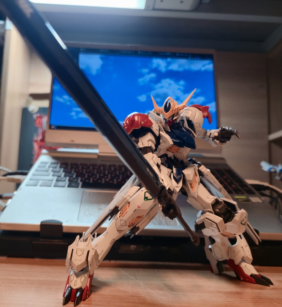 뒤늦게 올려보는 MG 발바토스 루프스_4.jpg