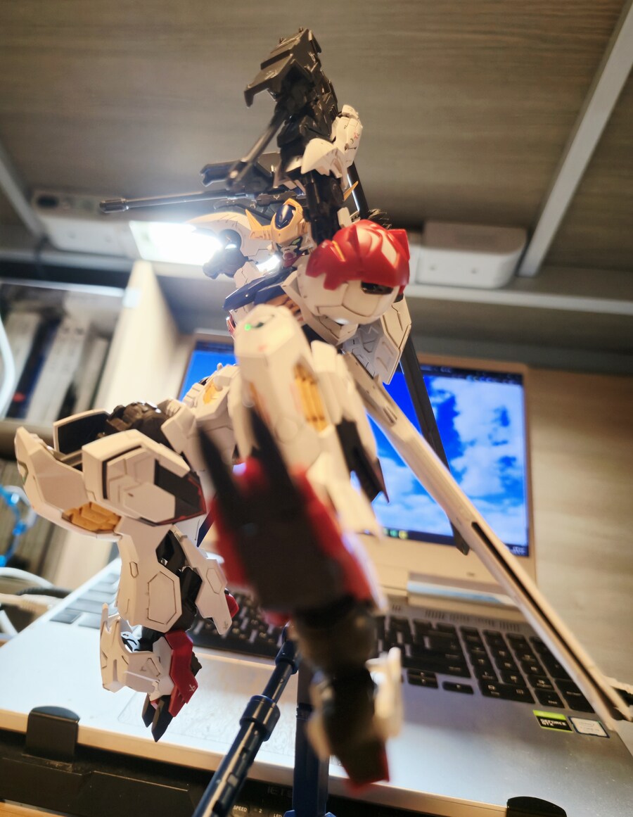 뒤늦게 올려보는 MG 발바토스 루프스_2.jpg