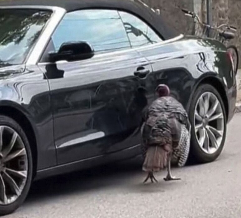 옆집 사람이 쪽지를 남겼다_4.png