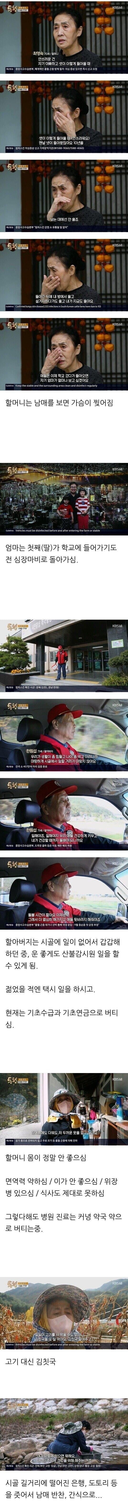 강원도 산골에서 겨울 준비하는 남매 .jpg_2.jpg
