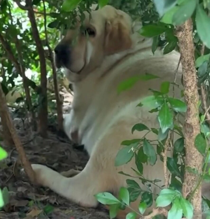 먹이 주기 금지.jpg_2.png