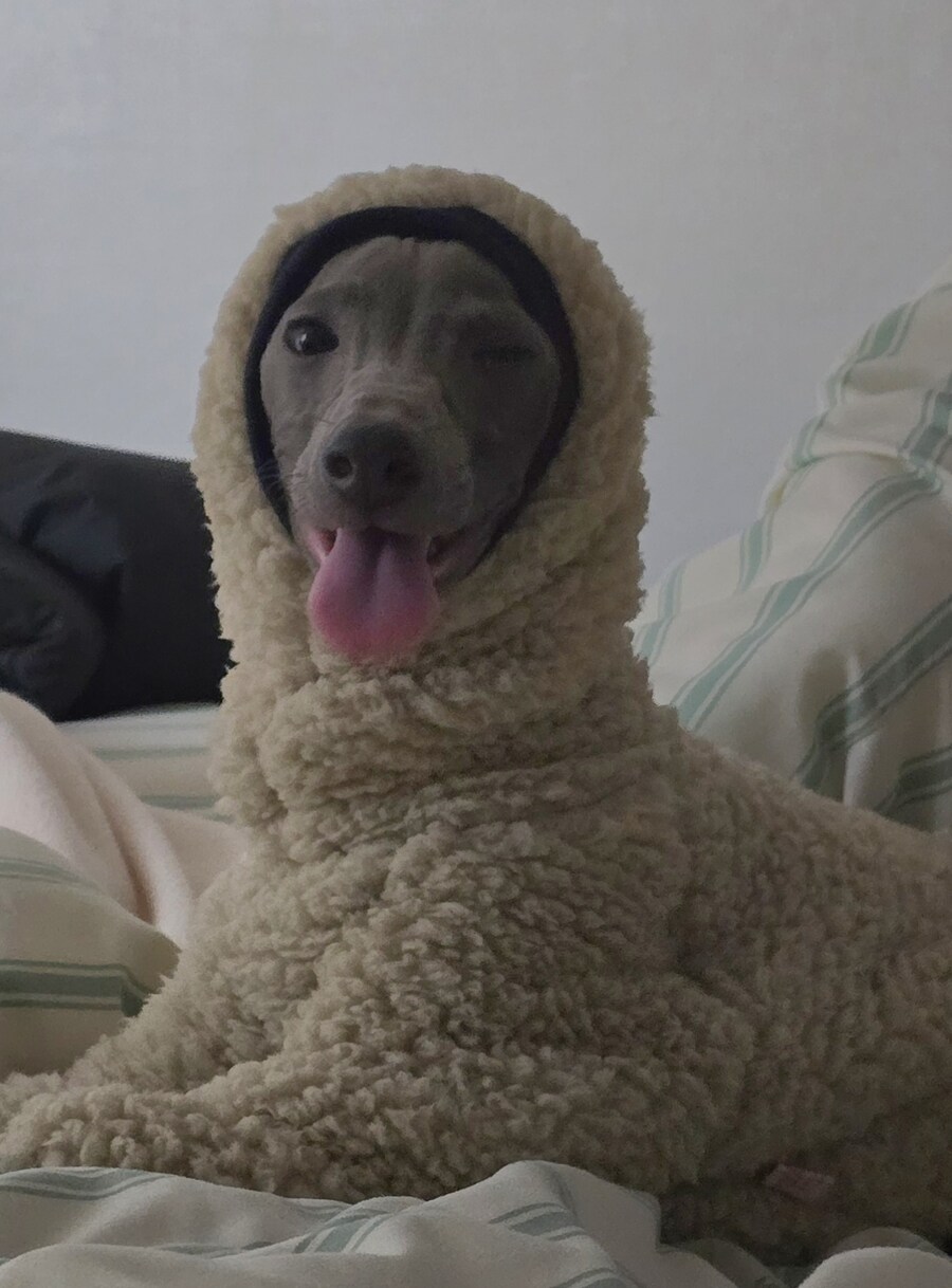 우리 가나디 귀여운거 같음_2.jpg