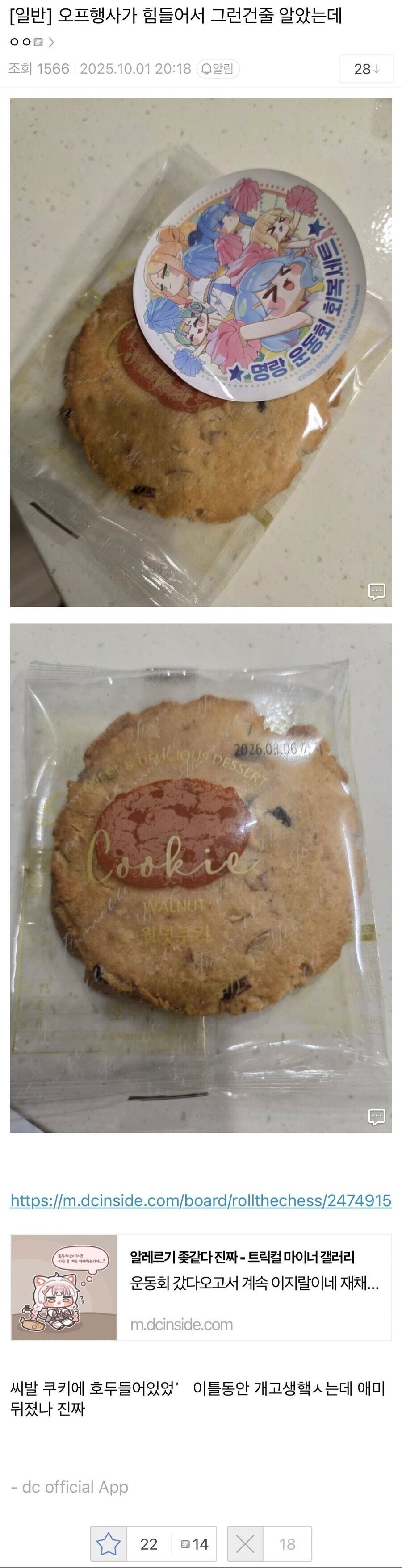 디시 트릭컬 갤러리 월넛쿠키 사건_1.jpg