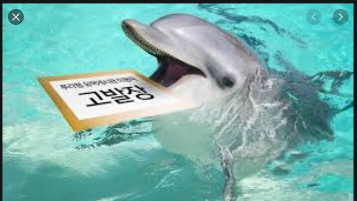 압수수색 나온거 누구인지 보이네_1.jpg