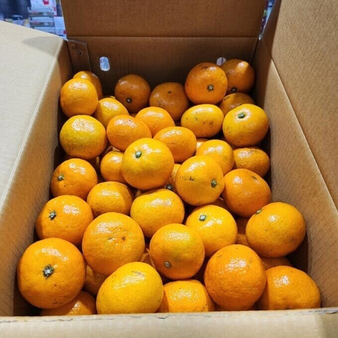 욕을 사서 먹는 방법_2.jpg