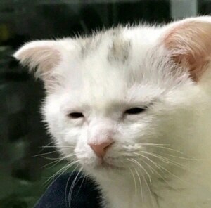 헬다이버즈) 백금 옮기기는 3명의 싸움꾼과 1명의 짐꾼만 있어도 된다.._1.jpg