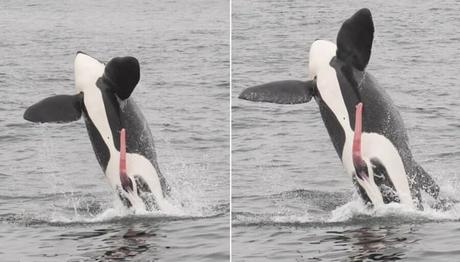 안녕하십니까. 루리웹 가족 여러분._1.jpg