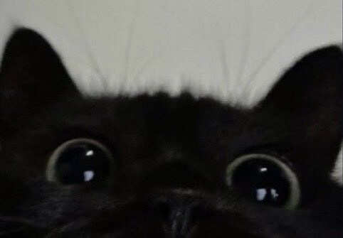 진짜 유게 픽_5.jpg